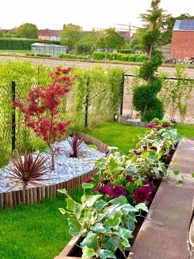 Appartement Jacuzzi Oasis